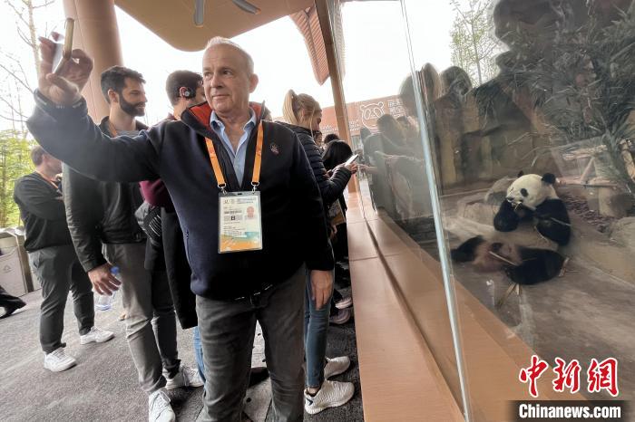 成都大运会代表团探访熊猫基地邂逅蓉宝原型